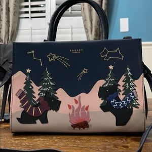 Radley London picture bag